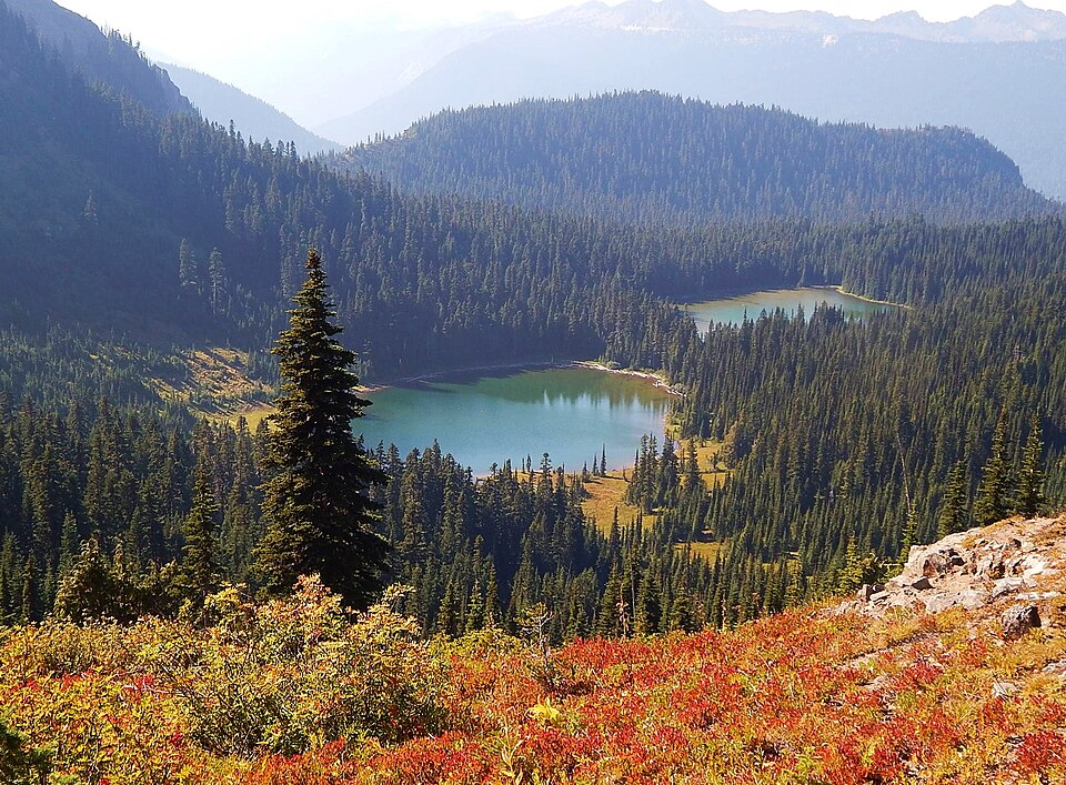 Mount Rainier National Park, Washington